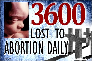 3600 Lost To Abortion Daily 36x54 Vinyl Poster